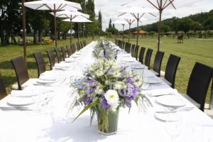 Napernyőbérlés 30